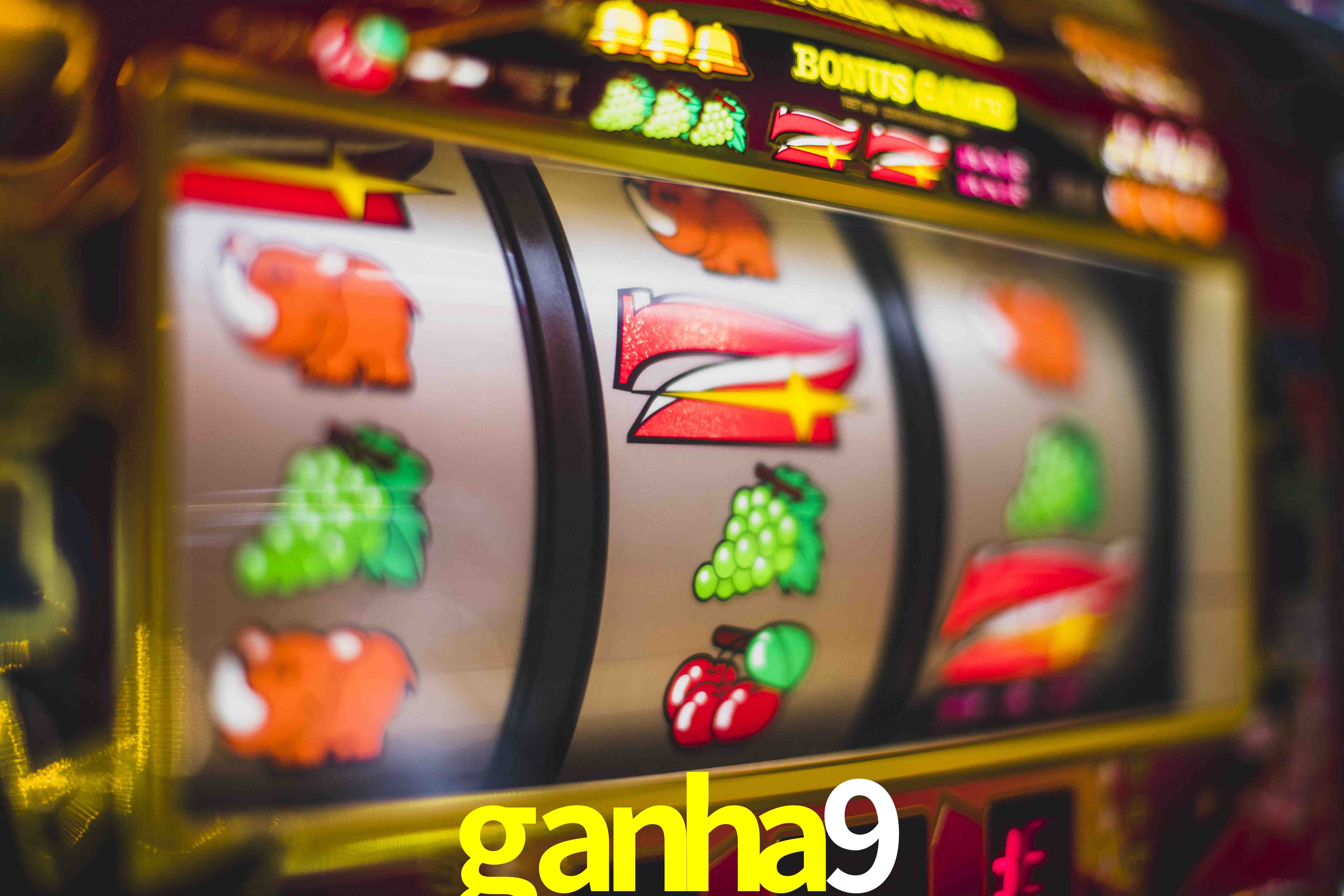 Football Betting ganha9